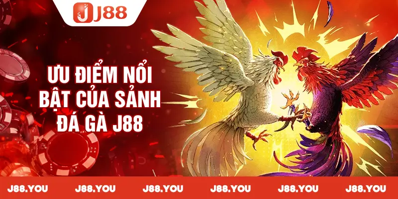 Tổng hợp các ưu điểm nổi bật tại sảnh đá gà J88